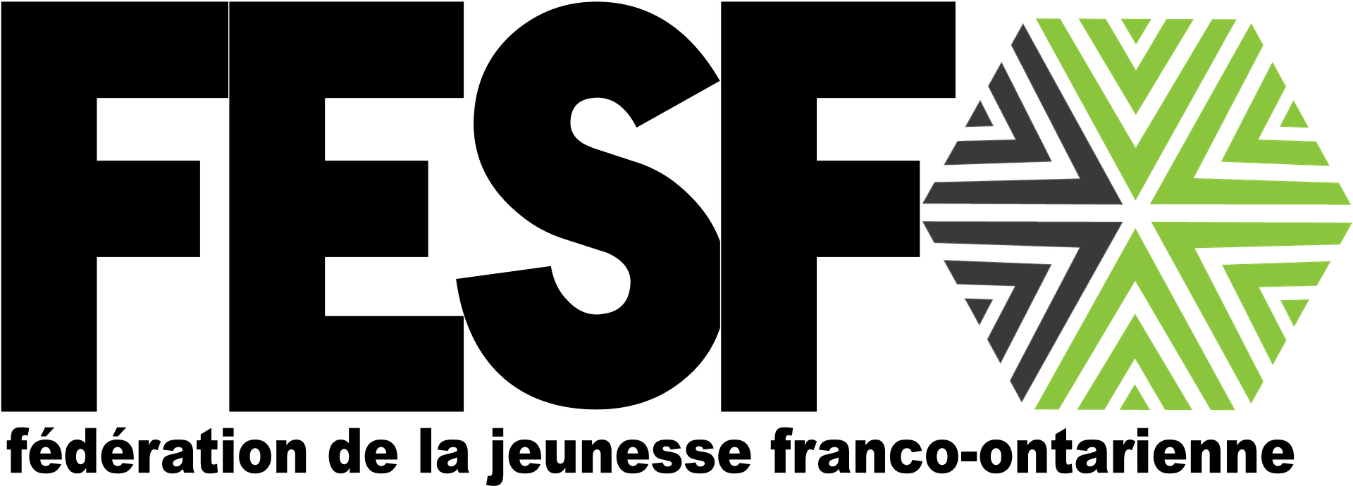 FESFO logo